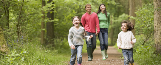 family on forest trail
